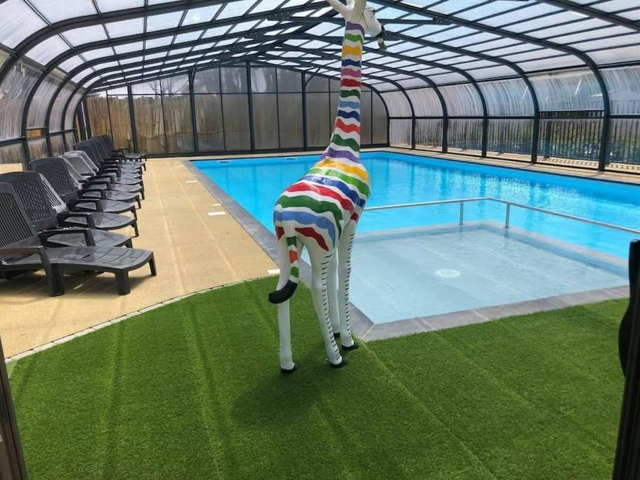 شقة سا يْليرْ دو ري  في La Roseliere ❁ Piscine ❁ Tranquillite المظهر الخارجي الصورة